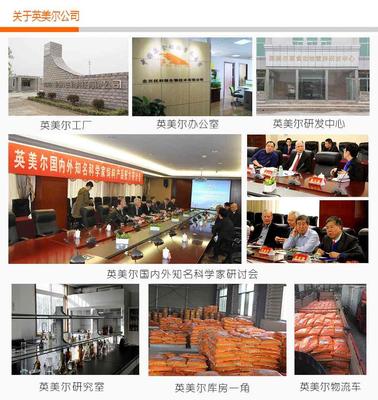 羊用添加劑與后期催肥育肥技術(shù) 科學(xué)研發(fā)與高效應(yīng)用