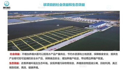 工廠化循環(huán)水養(yǎng)魚 智慧農(nóng)研驅(qū)動(dòng)下的水產(chǎn)養(yǎng)殖革命